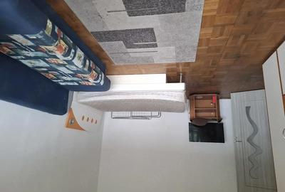 Garsonieră decomandată în Podgoria - 4