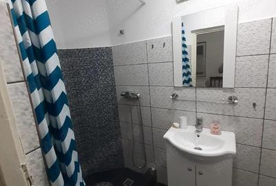 Garsonieră decomandată în Fabric - 8