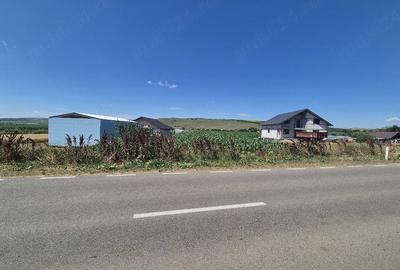 Teren de 4500 mp, în Codăești