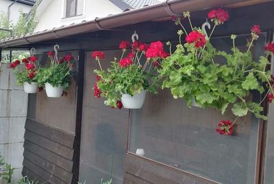 Casă cu 4 camere în Central - 7