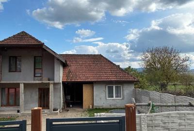 Casă cu 3 camere cu Teren 8000 Mp în Gothatea - 1