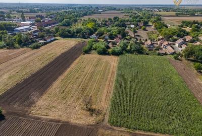 Casa 4 camere de Vanzare - 11