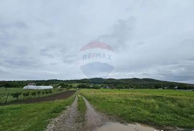 Teren de 1495 mp, în Dobreni - 12