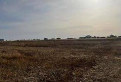 1,65 hectare de teren agricol in comuna Lunca din judetul Teleorman
