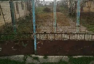 Casă cu 5 camere în Moldoveni