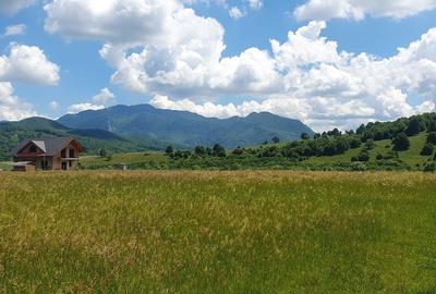 Rasnov -Glejarie 1000 mp front 42m posibilitate duplex sau 2 constructii - 6