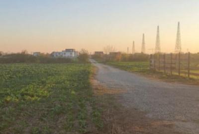 Teren INTRAVILAN SAFTICA 2545 MP - Parcelabil; deschidere 1 - 2