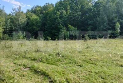 Spațiu comercial, în Poiana Ampoiului - 7