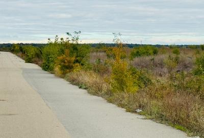 Teren extravilan Chitila/Mogosoia 15895mp - 5