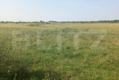 Teren de 5000 mp, în Centură - 2