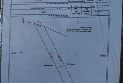 Teren de 16500 mp, în Tomești - 4