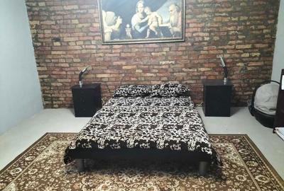 Casă cu 2 camere în Variaș - 2