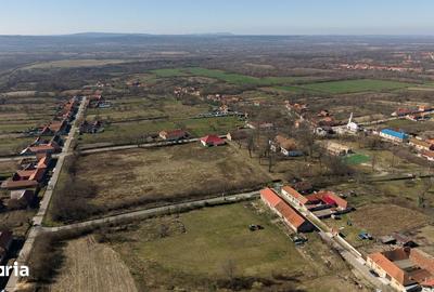 Casă cu 8 camere cu Teren 7235 Mp în Traian Vuia - 2