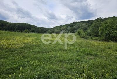 Teren agricol extravilan de 11935 mp, în Mărgineni - 6