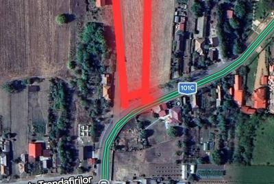 Teren de 4425 mp, în Lipia - 6
