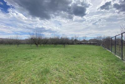 Teren în Pruni - 19