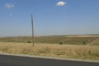 Teren de 9000 mp, în Schela - 6