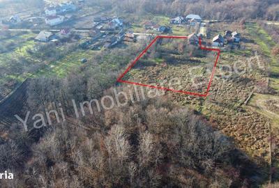 Casă cu 2 camere în Merișani - 1