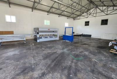 Spatiu industrial productie/ depozitare, Timiș - 16