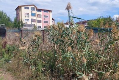 TEREN PENTRU VILA PANTELIMON LAC LEBADA - 6