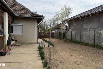 Casă cu 3 camere cu Teren 1798 Mp în Pișcolt - 10