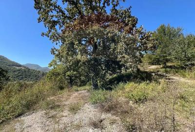 Teren de 702 mp, în Buru - 4