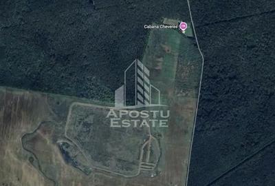 Teren de 27000 mp, în Chevereșu Mare - 1