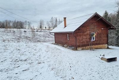 Teren de 10000 mp, în Râșca - 3