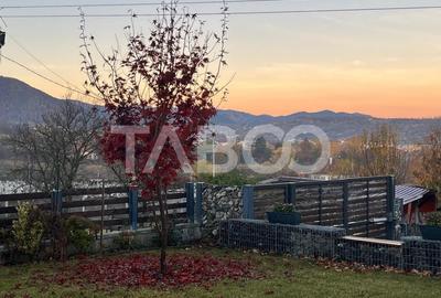 Casa individuala 1 nivel 190 mp 5 camere curte 819 mp Cisnadie - 33