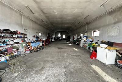 Spațiu industrial, de 250 mp, în Sântimbru - 19