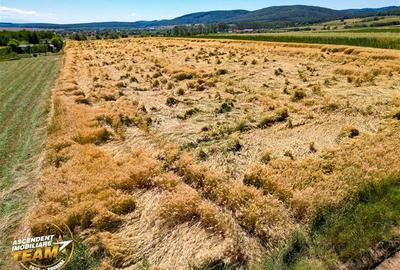 Teren agricol extravilan de 2268 mp, în Valea Crișului - 5