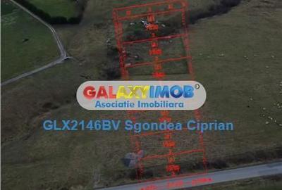 Spațiu comercial, în Sohodol