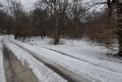 Teren de 500 mp, în Grigorescu - 1