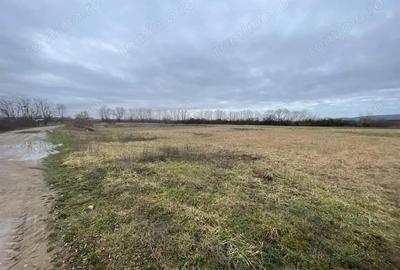 Teren de 5700 mp, în Oșorhei - 2