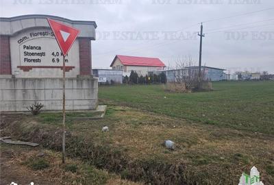 Teren de 7169 mp, în Florești - 4