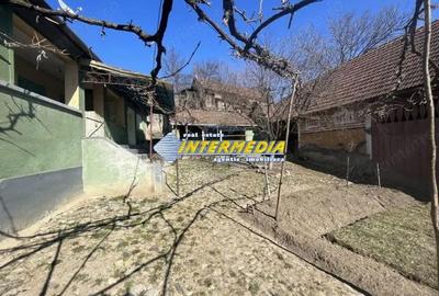 Casa in Cricau cu 3 camere de vanzare teren de 1300 mp - 9