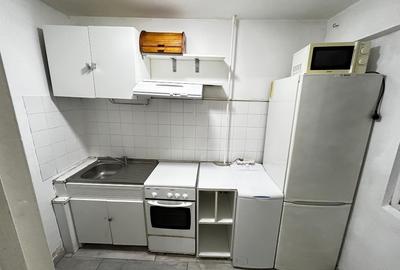 Lacul Tei -Teiul Doamnei Facultatea de Constructii - 9