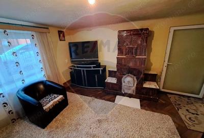 Proprietate exclusiva cu poten?ial turistic Bezid, jud. Mures - 4