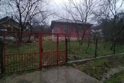 Casă cu Teren 2649 Mp în Vărbila - 5