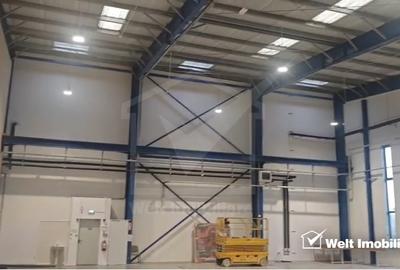 Spatiu depozitare sau productie 600mp, birouri si anexe 150mp, Tetarom I - 2