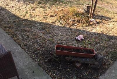 Casa la curte in Arad Centru-Intim - 6