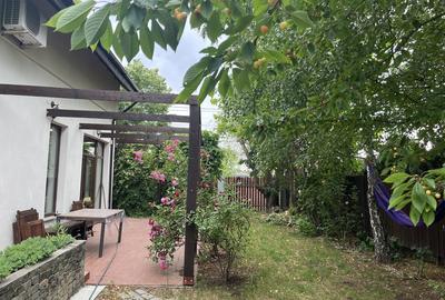 Mogosoaia, zona Martha Bibescu - 2