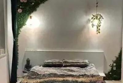 Central - inchiriere apartament 1 camera - Str. Tudor Vladimirescu - 2