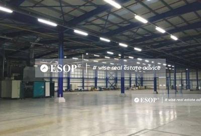 Spațiu industrial, de 4,500 mp, în Remetea Mare - 4
