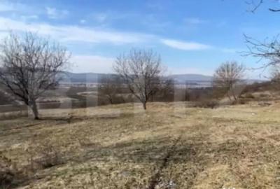 Teren de 20000 mp, în Central - 6