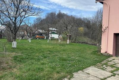 Casă cu Teren 1185 Mp în Gura Beliei