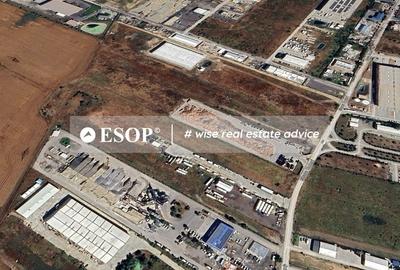 Vanzare Teren 10.000 mp - Rudeni, Chitila- ID 15475 - 2