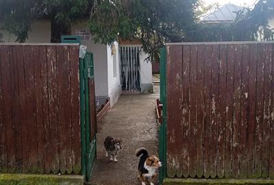 Casă cu 4 camere în Central - 5