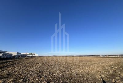 Teren Intravilan | Zona Industriala Vest | 20.663 mp - 1
