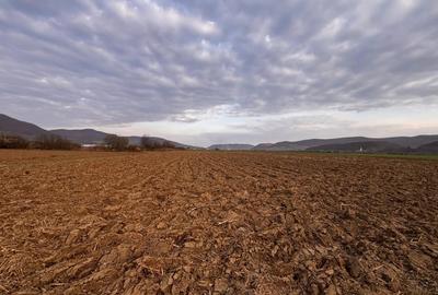 Teren agricol extravilan de 2500 mp, în Sud - 2